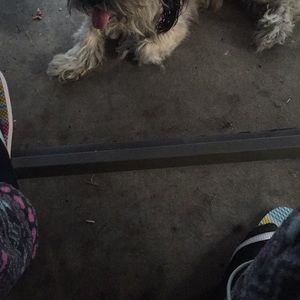 Meet your Posher, Jay